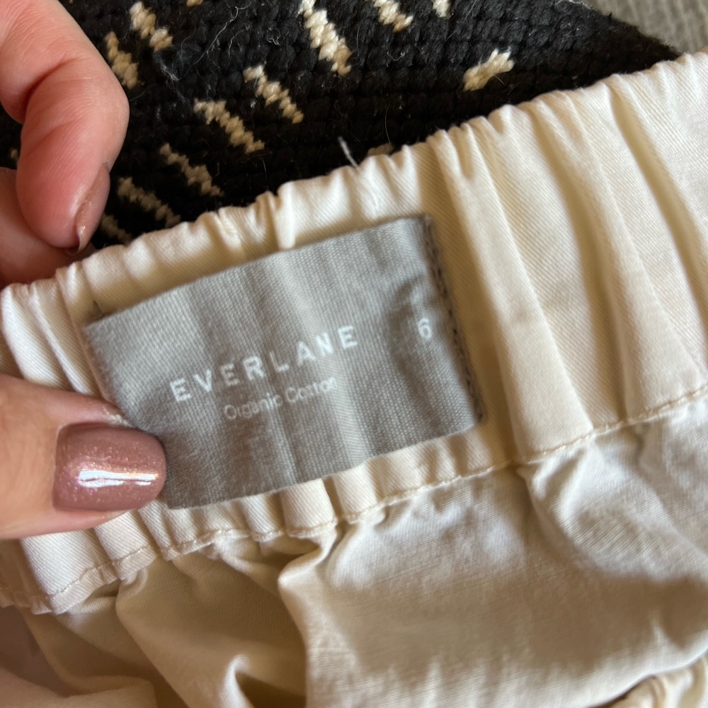 Everlane Skirt